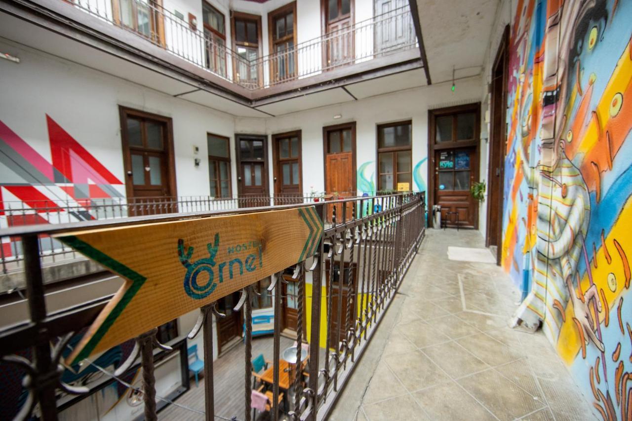 Hostel Cornel 티미쇼아라 외부 사진